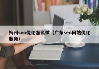 梅州seo优化怎么做（广东seo网站优化服务）